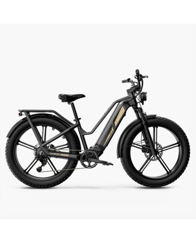 BICI FIIDO ELECTRICA TITAN GRIS BICI FIIDO ELECTRICA TITAN GRIS
