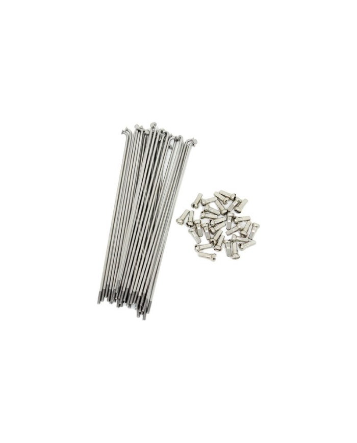 RADIOS ODYSSEY 180MM PLATA