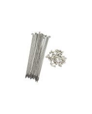 RADIOS ODYSSEY 180MM PLATA