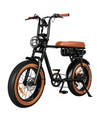 BICI 7GO EB2 BICI 7GO EB2