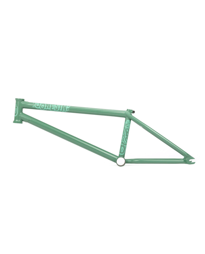 CUADRO BSD JONESIN 21" VERDE OFERTA