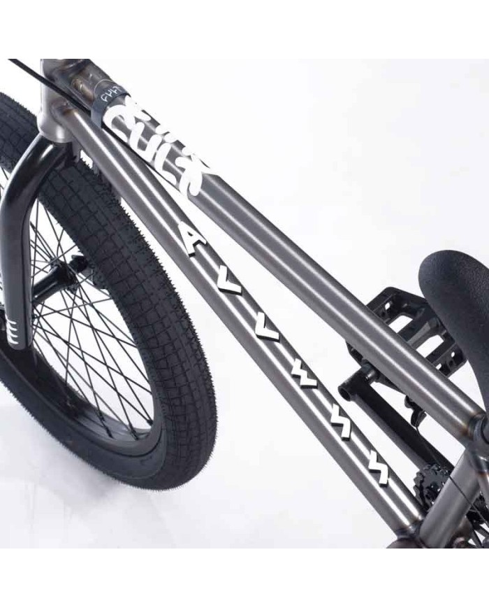 BICI CULT 2026 ACCESS RAW