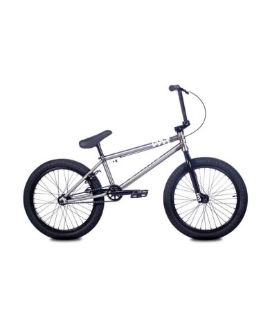 BICI CULT 2026 ACCESS RAW