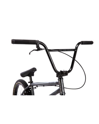 BICI WETHEPEOPLE 2026 ARCADE 20.5" GRIS