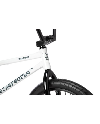 BICI WETHEPEOPLE 2026 REASON 20.85" GRIS