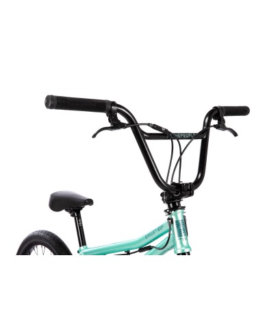 BICI WETHEPEOPLE 2026 SINUS 19" FLATLAND MENTA