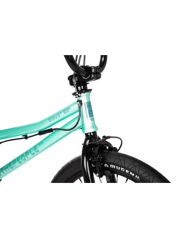 BICI WETHEPEOPLE 2026 SINUS 19" FLATLAND MENTA