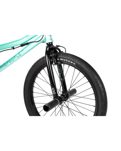 BICI WETHEPEOPLE 2026 SINUS 19" FLATLAND MENTA