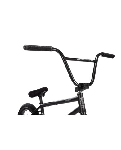 BICI WETHEPEOPLE 2026 TRUST CS 21" NEGRO MATE