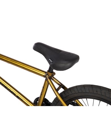 BICI WETHEPEOPLE 2026 TRUST CS 21" DORADO