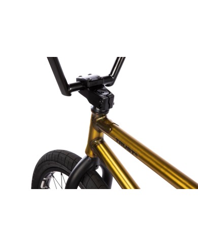 BICI WETHEPEOPLE 2026 TRUST CS 21" DORADO
