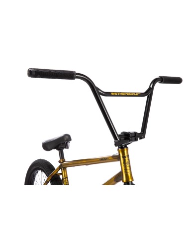 BICI WETHEPEOPLE 2026 TRUST CS 21" DORADO