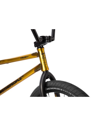BICI WETHEPEOPLE 2026 TRUST CS 21" DORADO