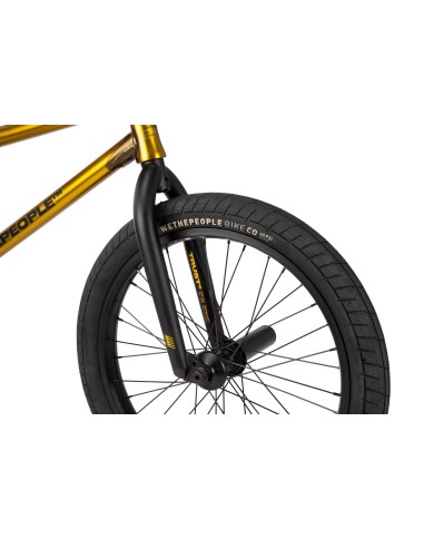 BICI WETHEPEOPLE 2026 TRUST CS 21" DORADO