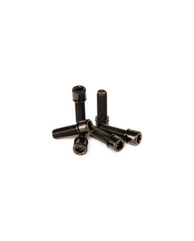 TORNILLOS POTENCIA SALT SOLID TORNILLOS POTENCIA SALT SOLID