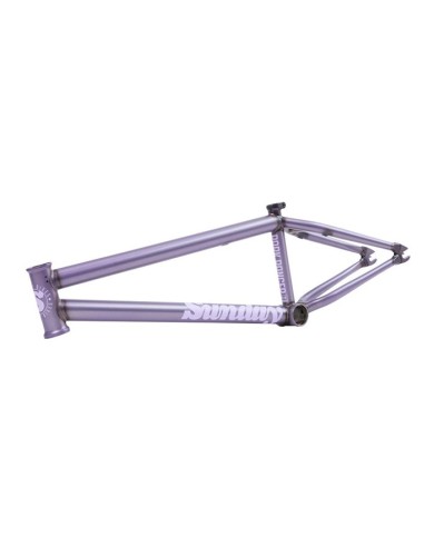 CUADRO SUNDAY PARK RANGER 21" MORADO TRANSLUCIDO CUADRO SUNDAY PARK RANGER 21" MORADO TRANSLUCIDO